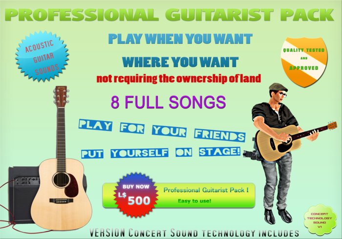 Professional Guitarist Pack