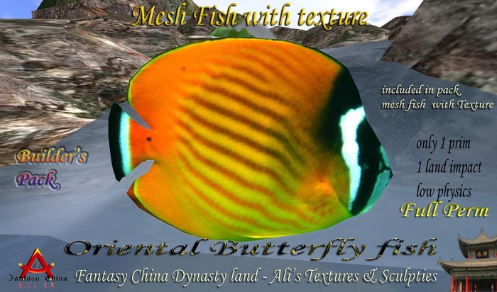 Oriental Butterfly fish