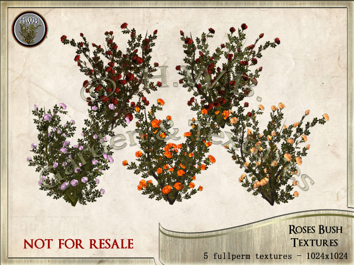 Second Life Marketplace - Roses Bush Textures