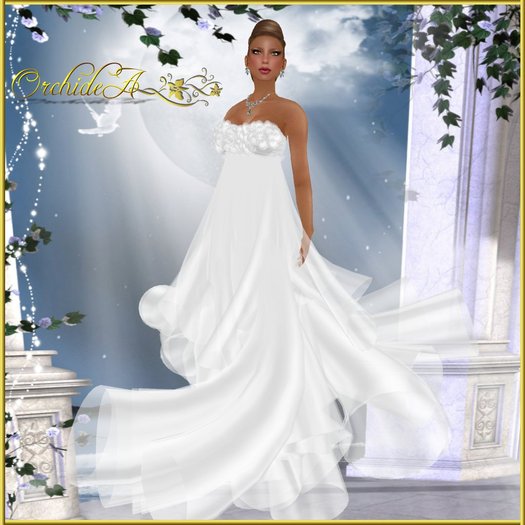 ** Orchidea**  petite fee white