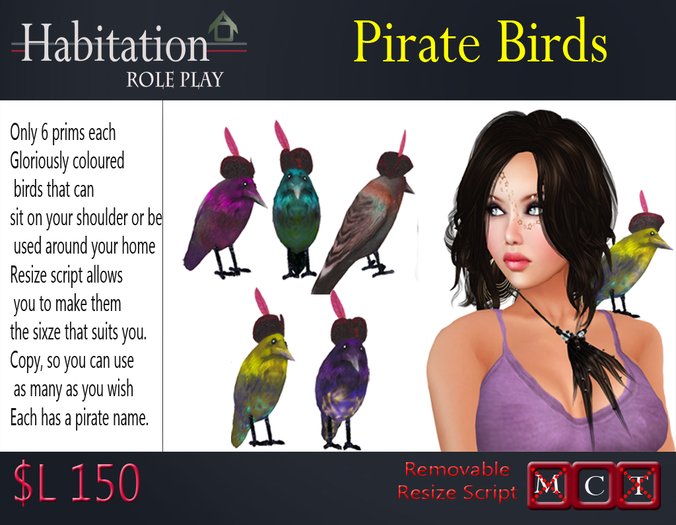 Habitation -  Pirate Birds
