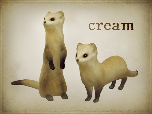 HPMD* Weasel - cream