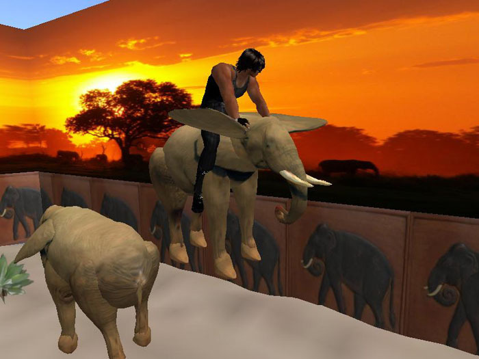 Flying Elephant from the Elephant Sanctuary