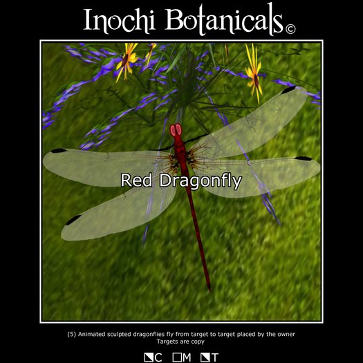 Inochi Dragonflies - Red : Animated Target Seeking Dragonflies