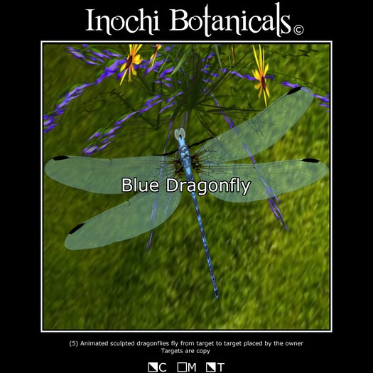 Inochi Dragonflies - Blue : Animated Target Seeking Dragonflies
