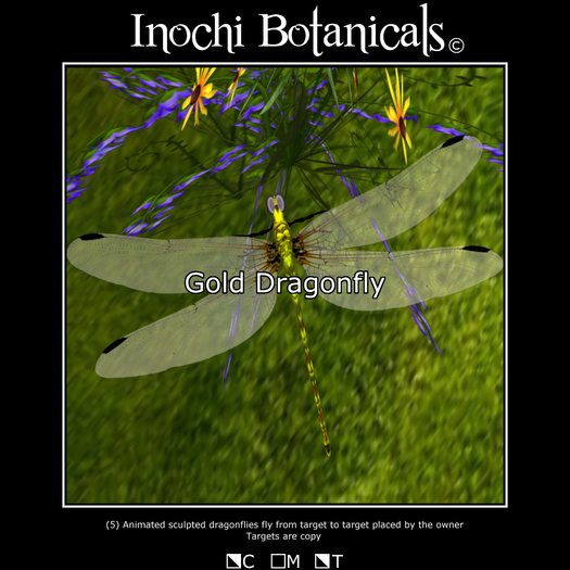Inochi Dragonflies - Gold : Animated Target Seeking Dragonflies