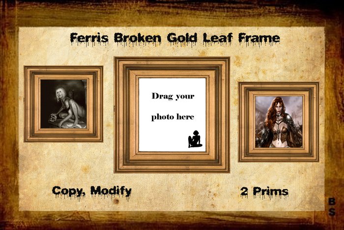 Ferris Broken Gold Leaf Frame