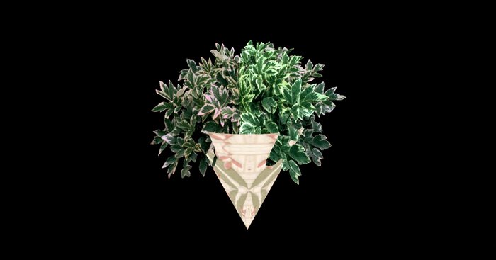 Butterfly Scone ~Simplicity~