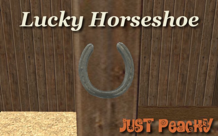Lucky Horseshoe 