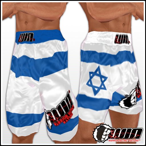 WIN Israel Flag Trunks Set