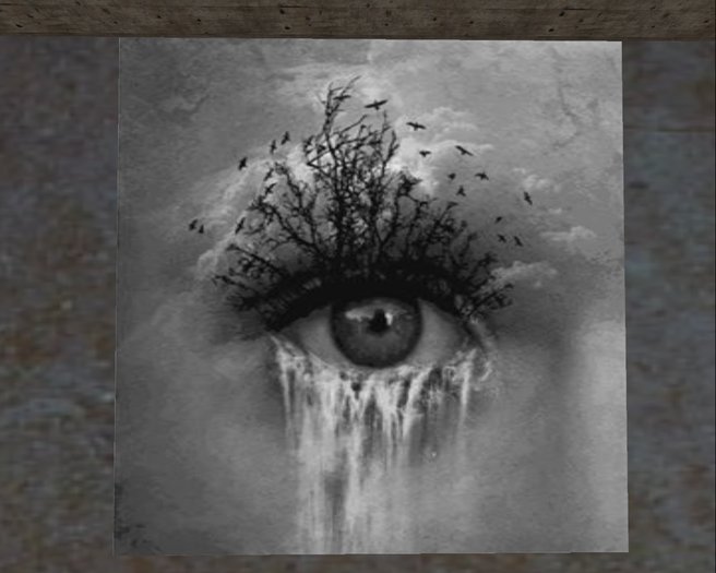 eye waterfall birds verry nice