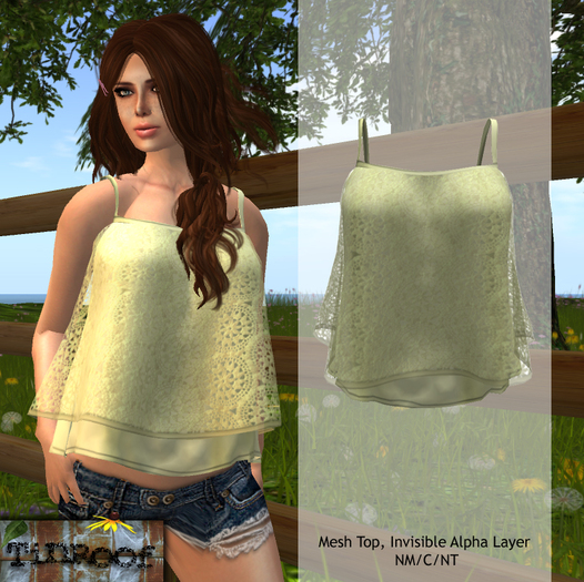Mesh Crochet Top Honeysuckle