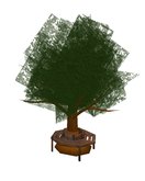 Old Tree with Surrounding Bench by H&G
