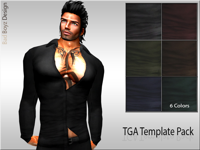 Bad BoyZ TGA Template Vol.4