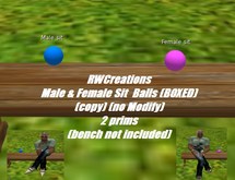 Male & Female Sit Balls Copy (boxed) 