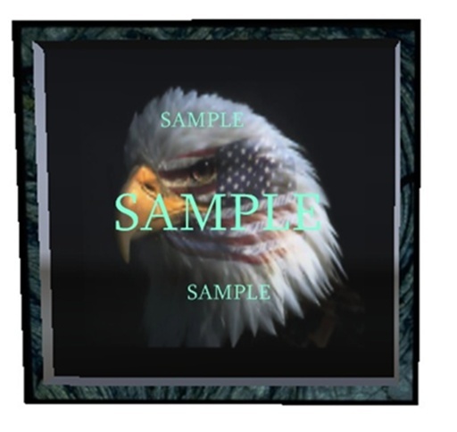 FRAMED EAGLE PIC