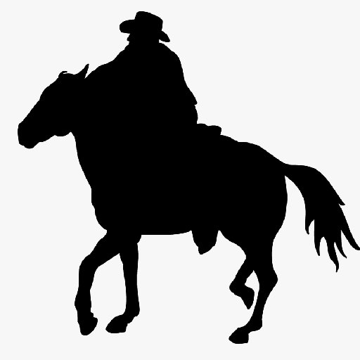 RIDING silhouette