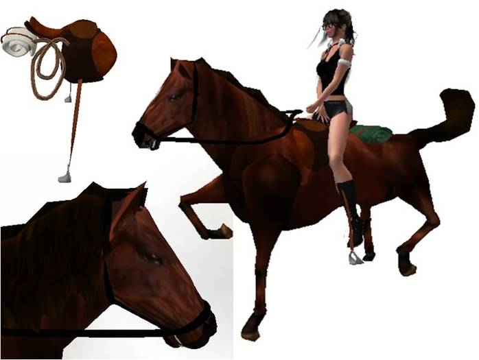 Horse Andaluz