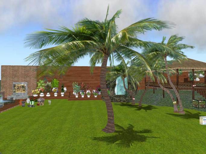 Palmtree Atixx Coconut Flexus