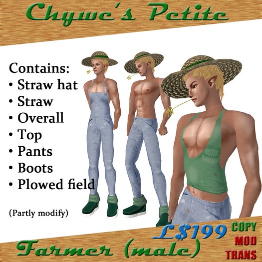Chywe's Petite: Farmer (male)