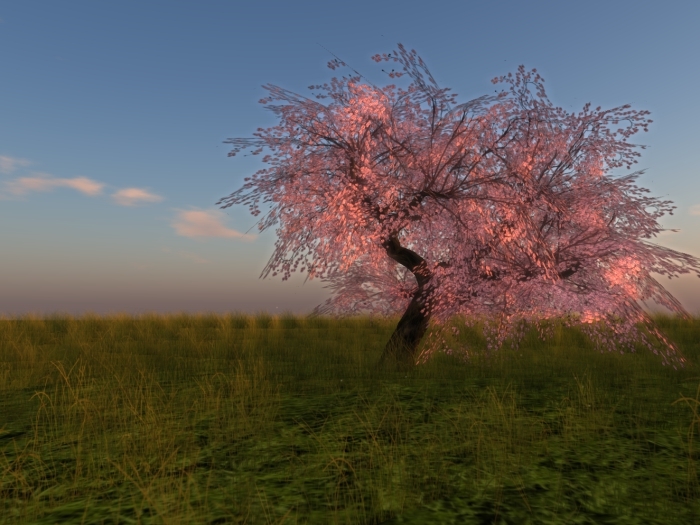 FG cherry big 15 red (COPY)