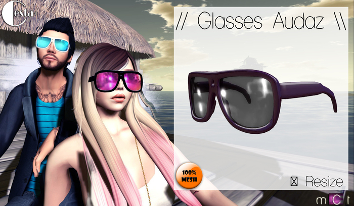 // Glasses Audaz \\ Color: violet/black
