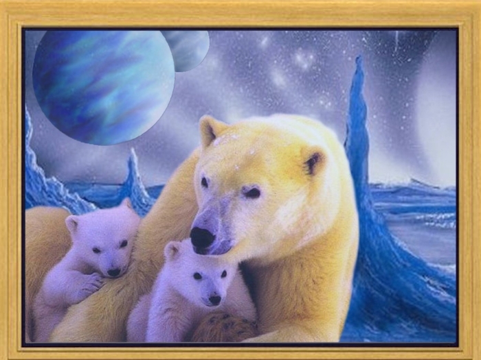 Eisbaeren1x1,4