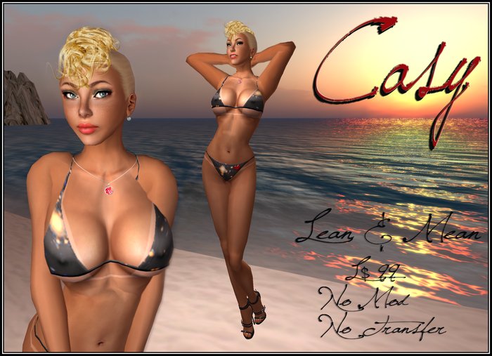 Casy Lean Shape Demo