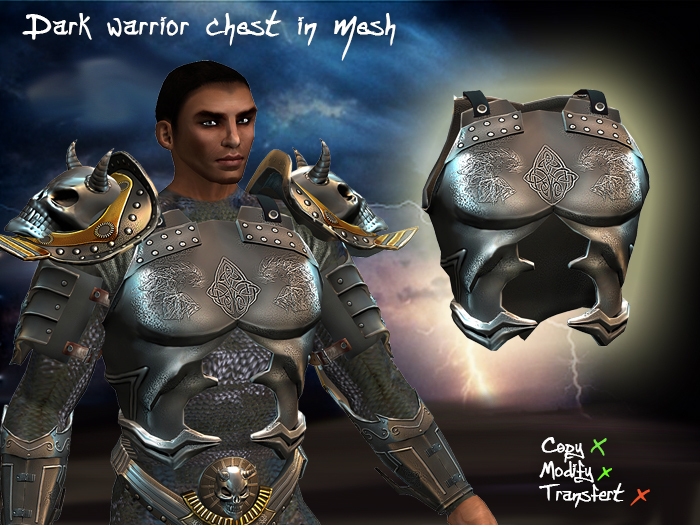 Dark warrior armor (chest)