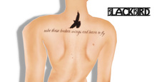 Blackbird Tattoo- byKy