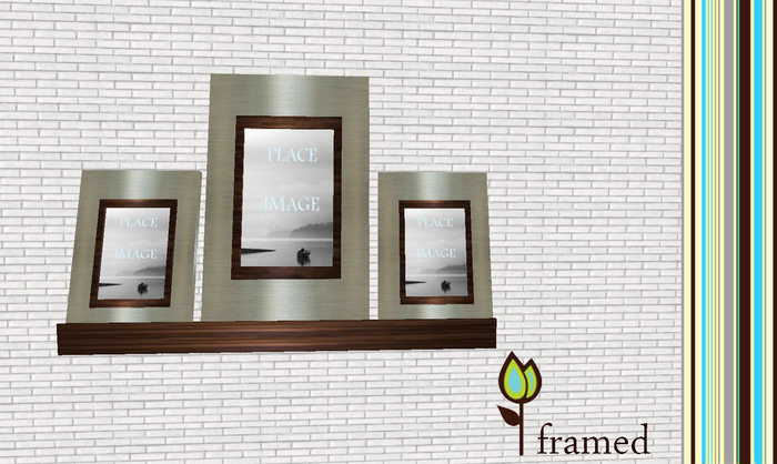 *framed* sleek frames with shelf