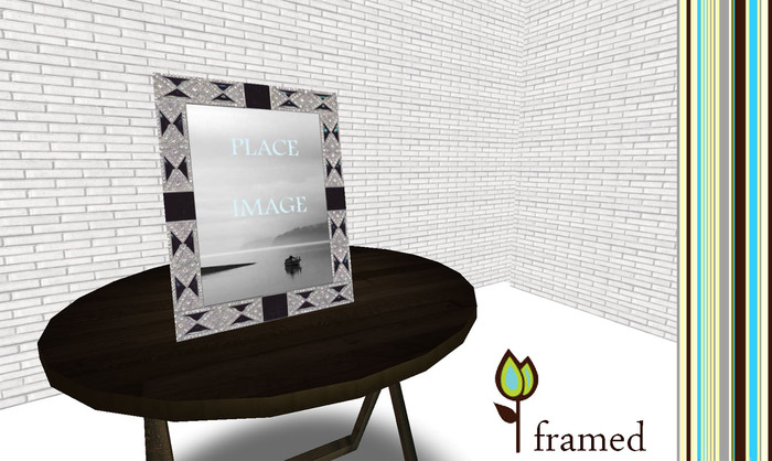 *framed* rhinestone encrusted frame