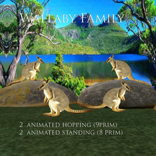 Wallaby  family 4 vf