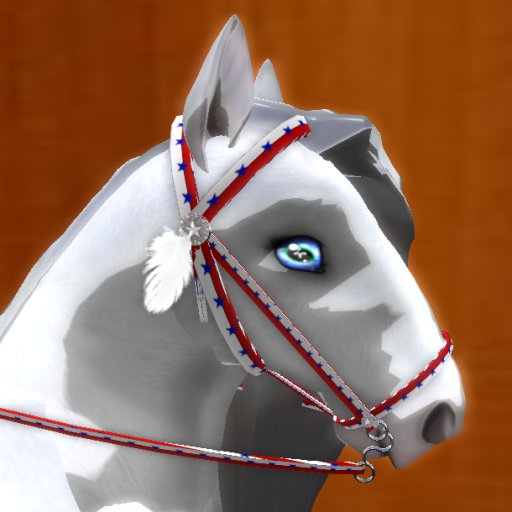 Night Breed RW&B Bridle (Boxed)