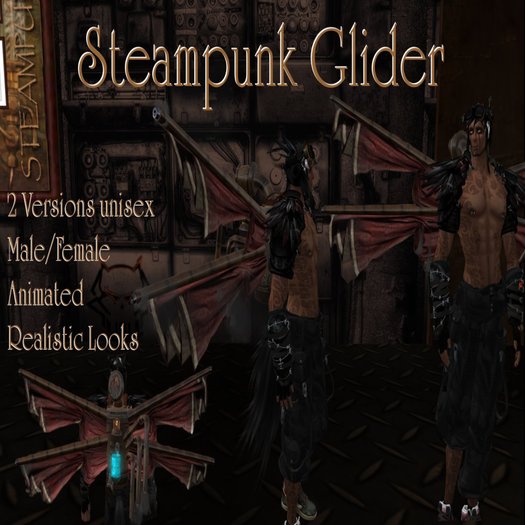 Steampunk Glider  Edition Unisex