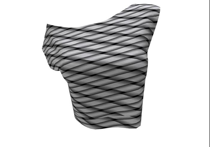 ::Mesh II Def:: Basket Cropped Off Shoulder Top boxed