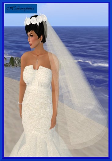 Sequinned Veil with White Roses 