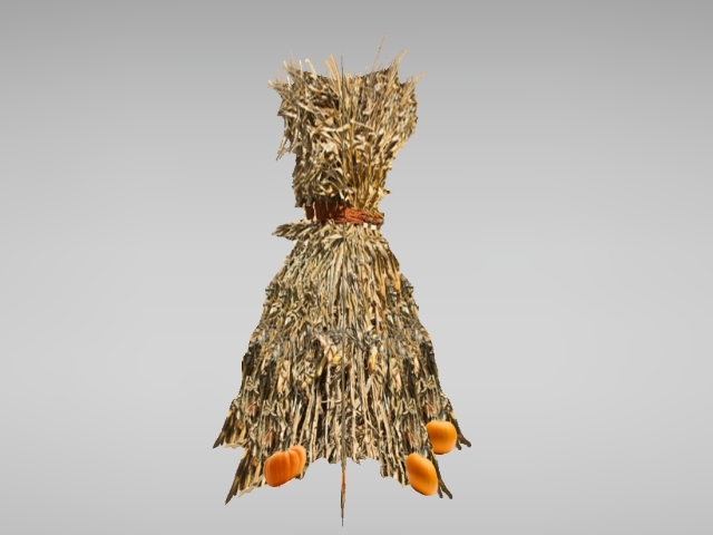 Corn stalks and pumpkins