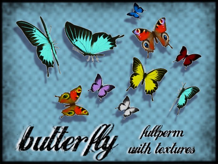 Butterflies