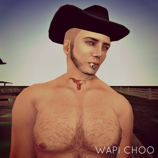 Wapi Choo - Longhorn Tattoo (tintable)