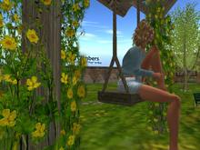 Planted Swing: Yellow Flowers (One of our many catalogue entries for Summer swings, trees, shrubs and landscape items)
