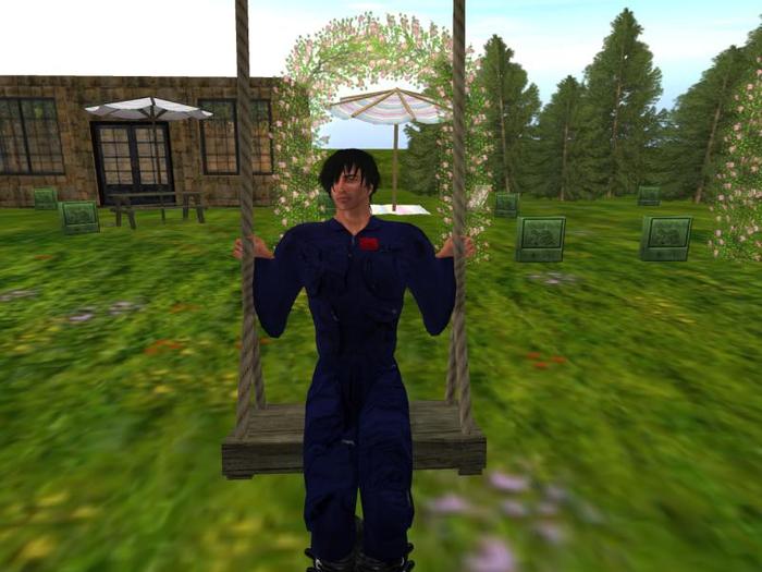 Anywhere Swing: Male  (One of our many catalogue entries for Summer swings, trees, shrubs and landscape items)