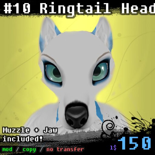 Ringtail Head #10