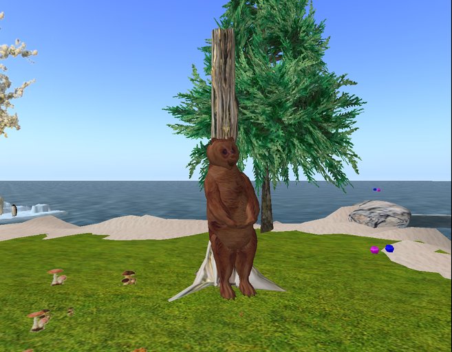 brown bear pole dance