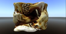 selena wells kludged 01.07.12 relief sculpt plane prim fullperm