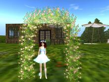 Petite Summer Arch (These lovely summery bridal, anniversary and party foliage arches are in our landscaping section)