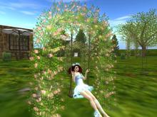 Petite Summer Arch with Swing: (One of our many catalogue entries for Summer swings, trees, shrubs and landscape items)
