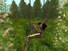 Summer Arch with Swing: (One of our many catalogue entries for Summer swings, trees, shrubs and landscape items)