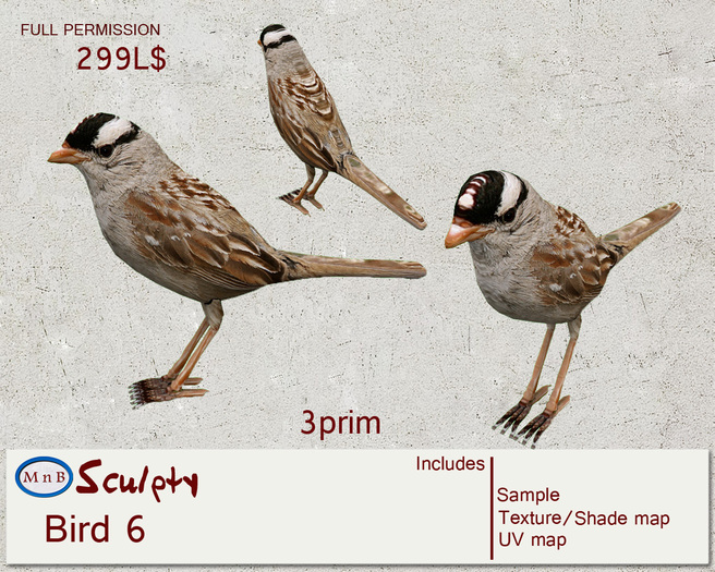 *~M`n B~* Bird 6 (box)