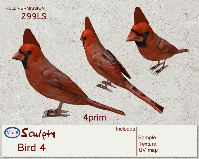 *~M`n B~* Bird 4
